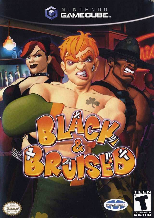 Black & Bruised (Gamecube) - Game Manual Only