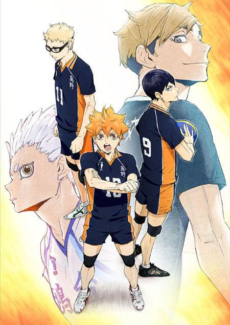 Haikyuu! Wallscroll -
