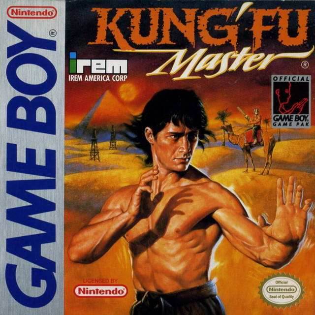 Kung Fu Master (Gameboy) - Game Manual Only