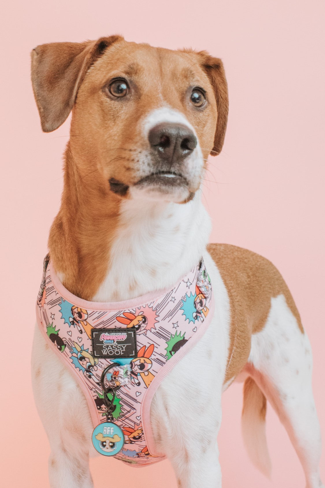 Collar Tag - Bubbles™