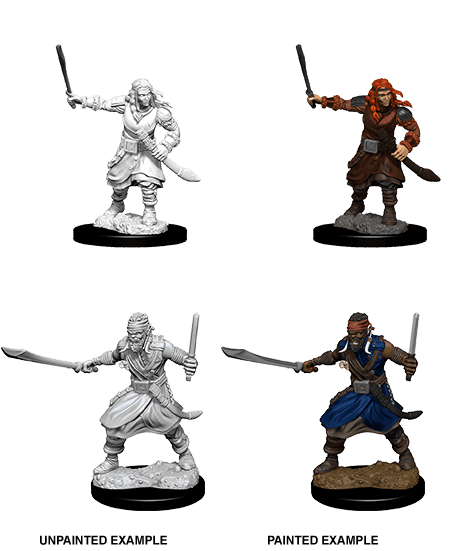D&D: Nolzur's Marvelous Miniatures - Bandits -