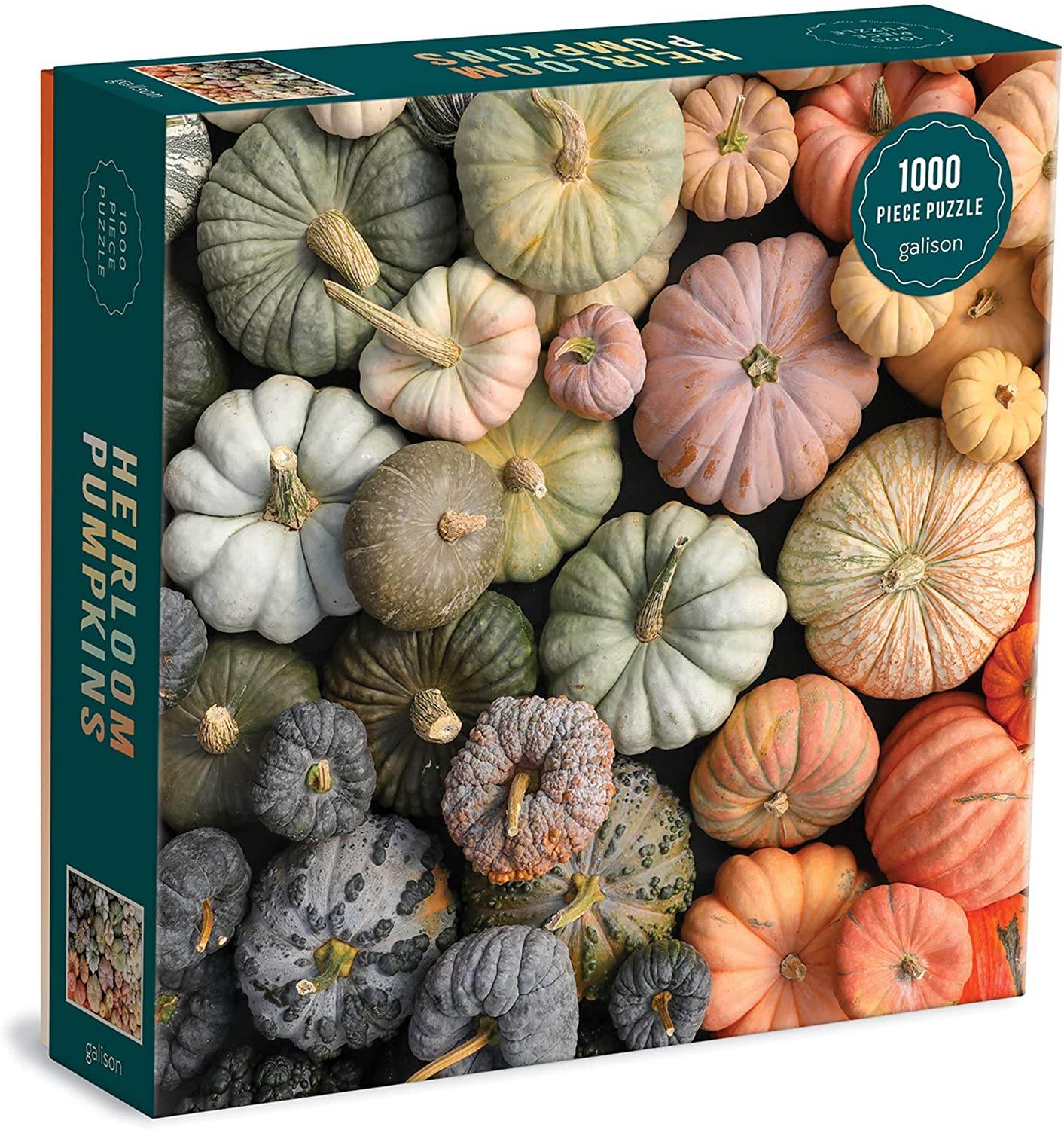 Puzzle: Heirloom Pumpkins -