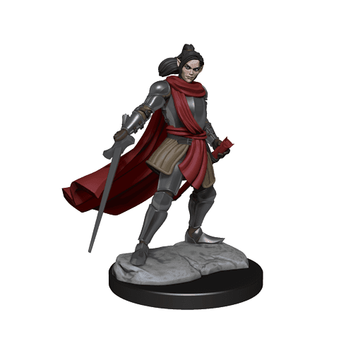 Critical Role: Half-Elf Paladin Xhorhas Female -