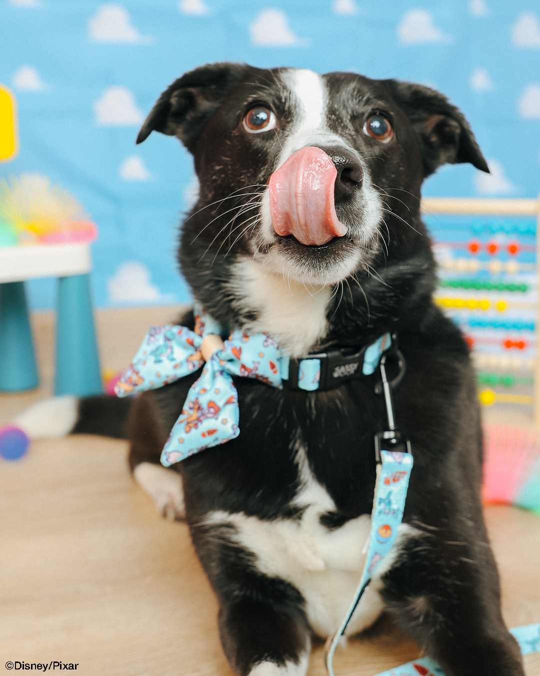 Dog Collar - Disney and Pixar's Toy Story