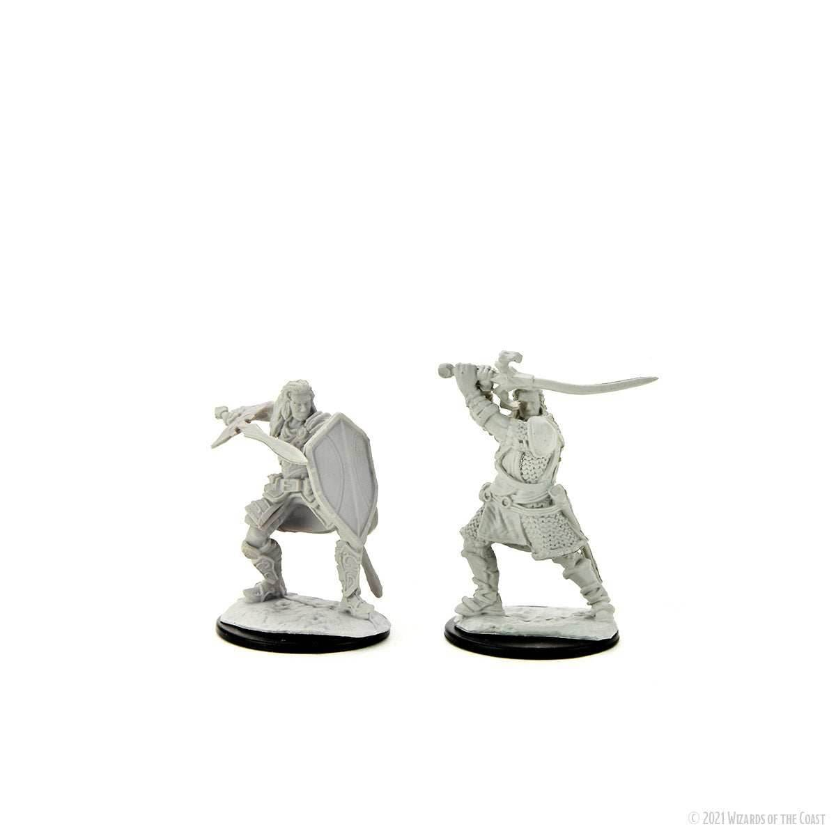 D&D: Nolzur's Marvelous Miniatures - Human Paladin Male -