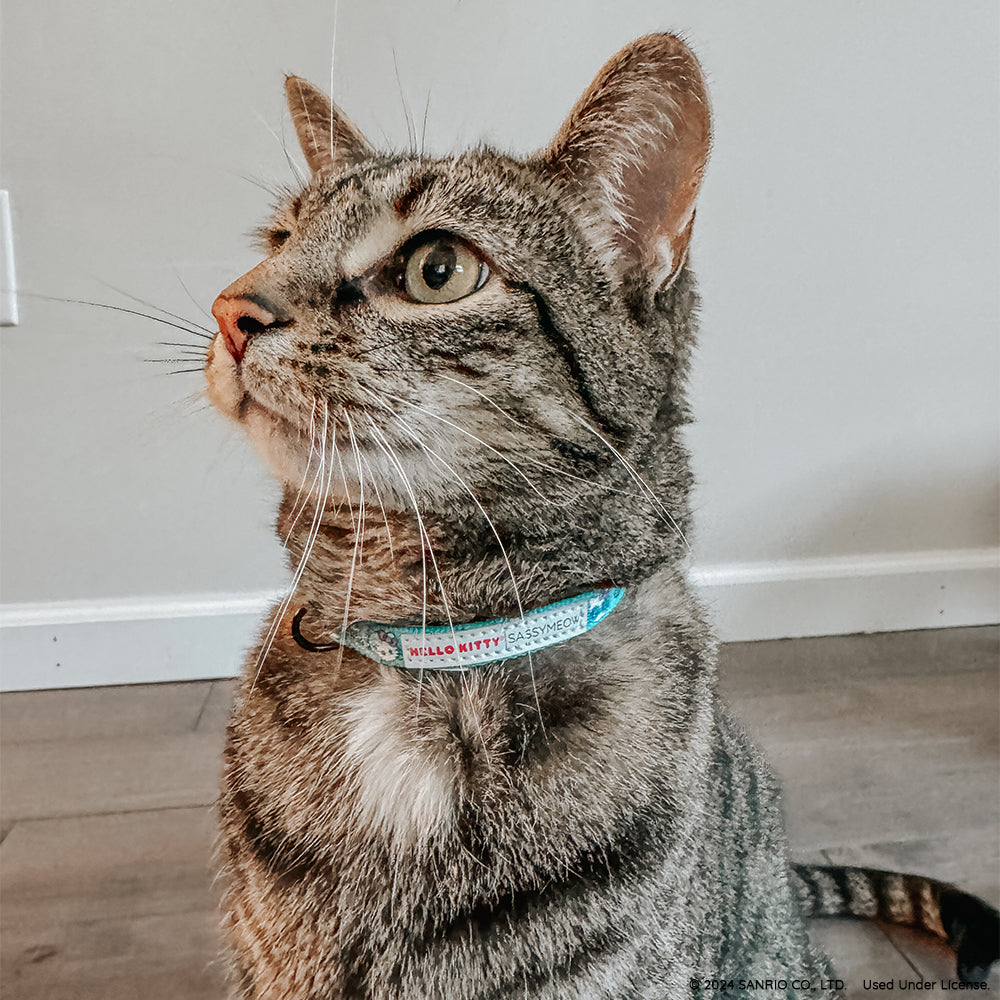 Cat Collar - Hello Kitty® Aqua