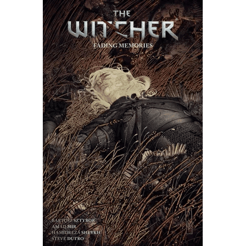 The Witcher Volume 5: Fading Memories - Paperback -
