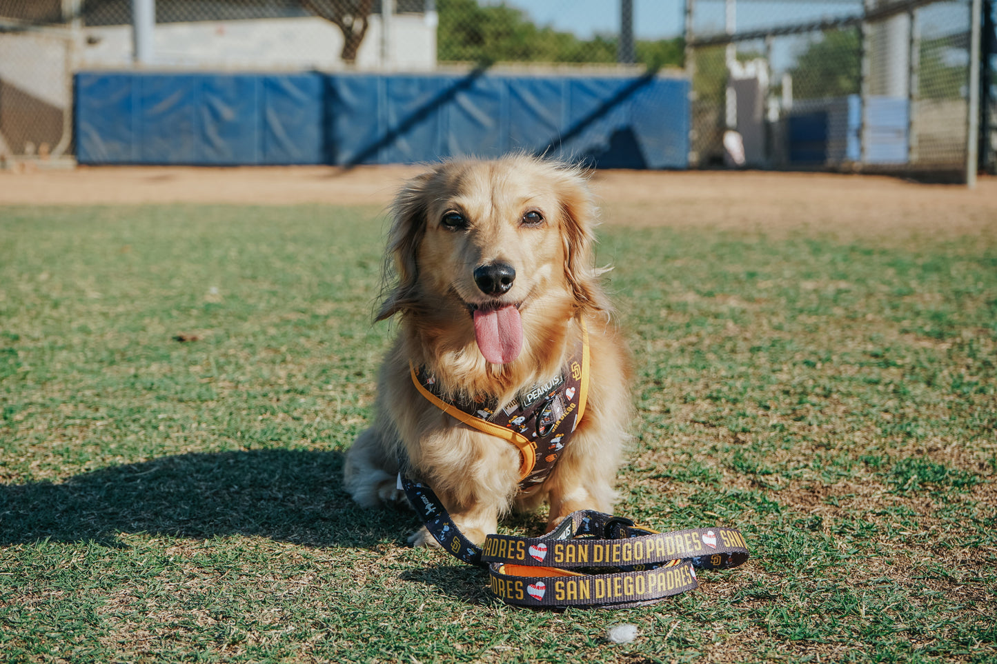 Dog Leash - MLB™ x Peanuts™ San Diego Padres™
