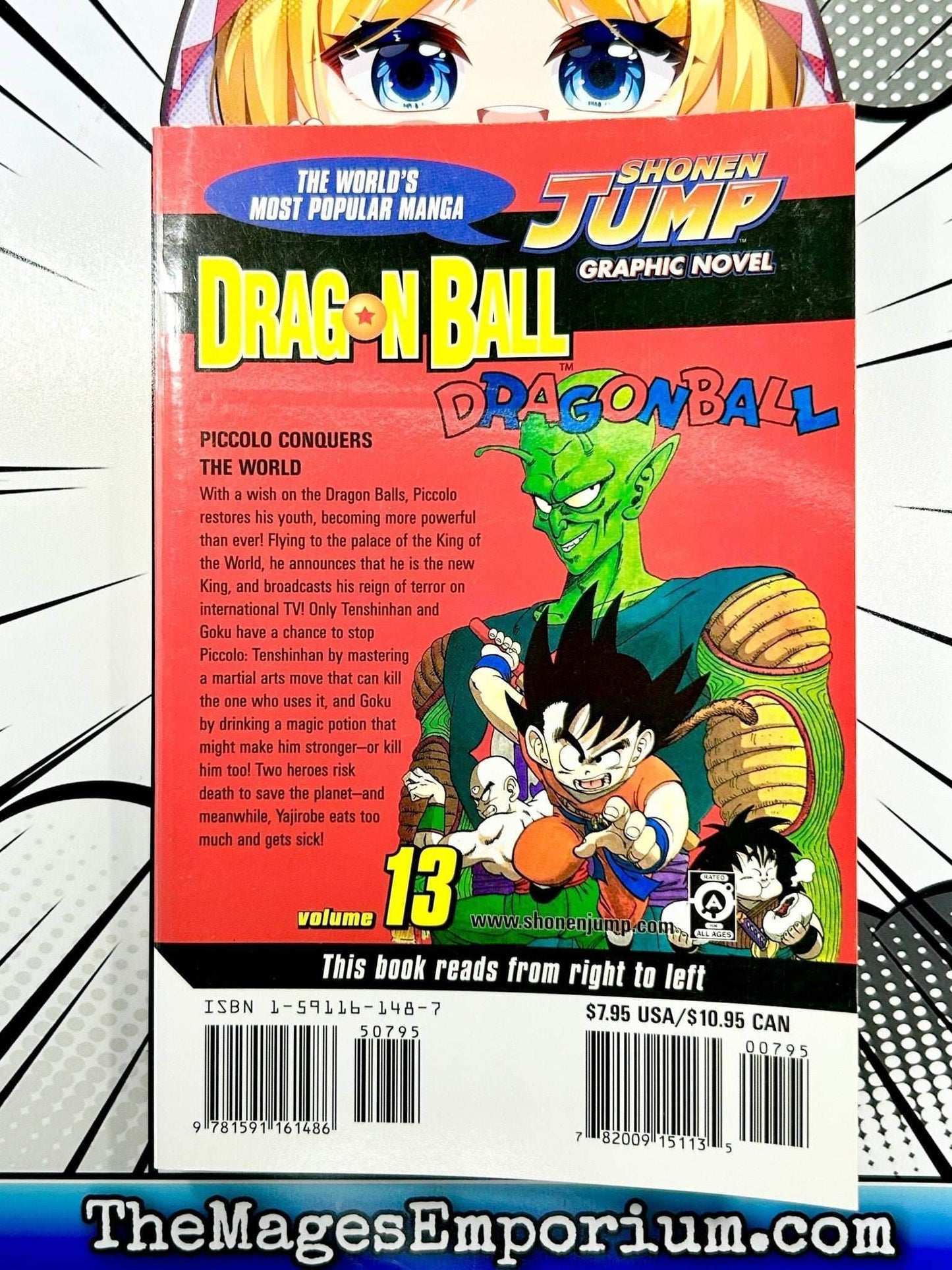Dragon Ball Vol 13 -