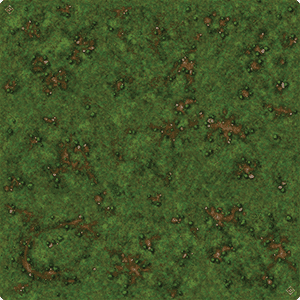 Runewars Miniatures Game: Grassy Field Gamemat -