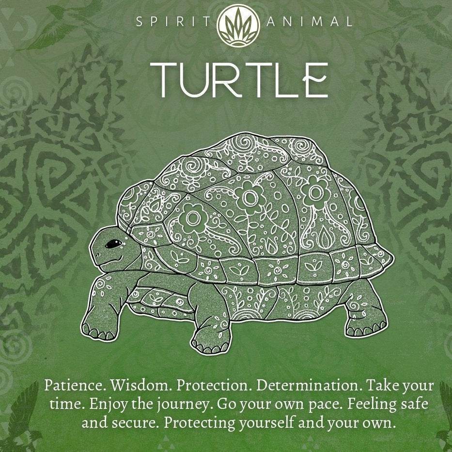 Abalone Turtle Necklace - Abalone