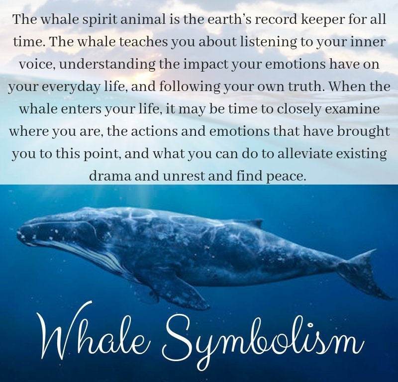 Ocean Whale Necklace -