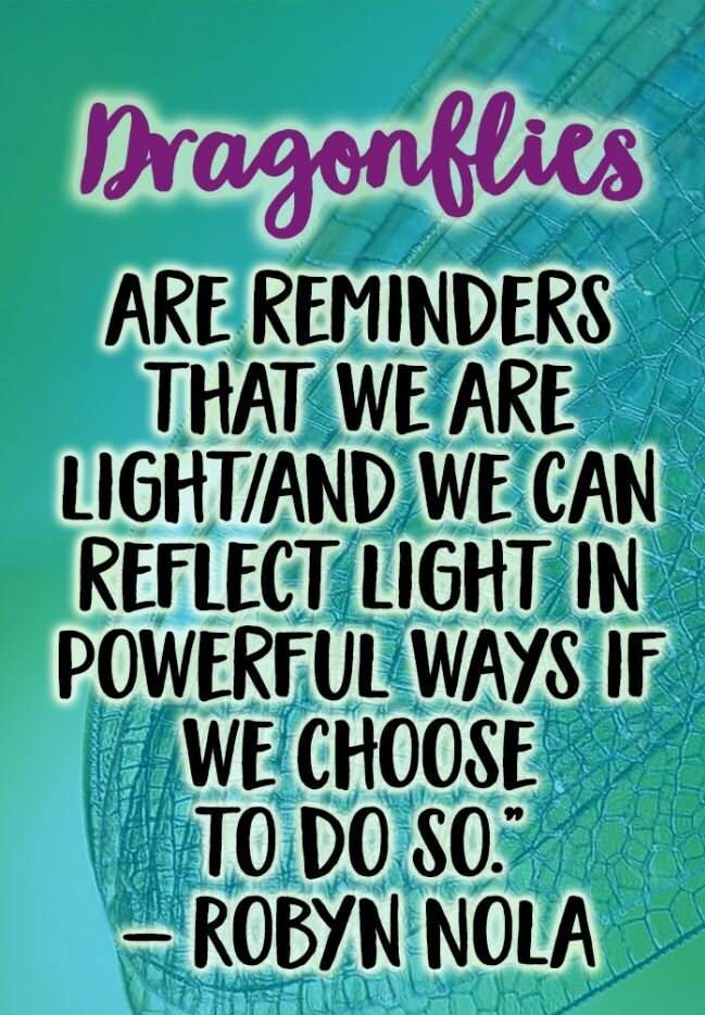 Omagh Dragonfly Necklace - 18