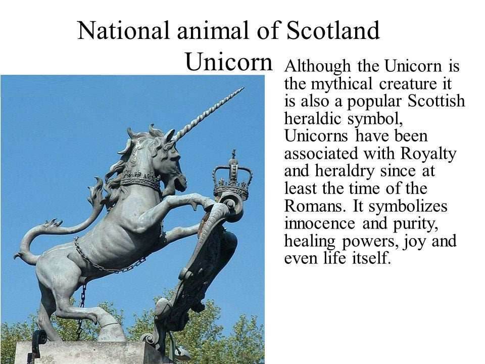 Legendary Unicorn Post Back Earrings -