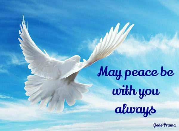 Long Peace Doves Necklace -