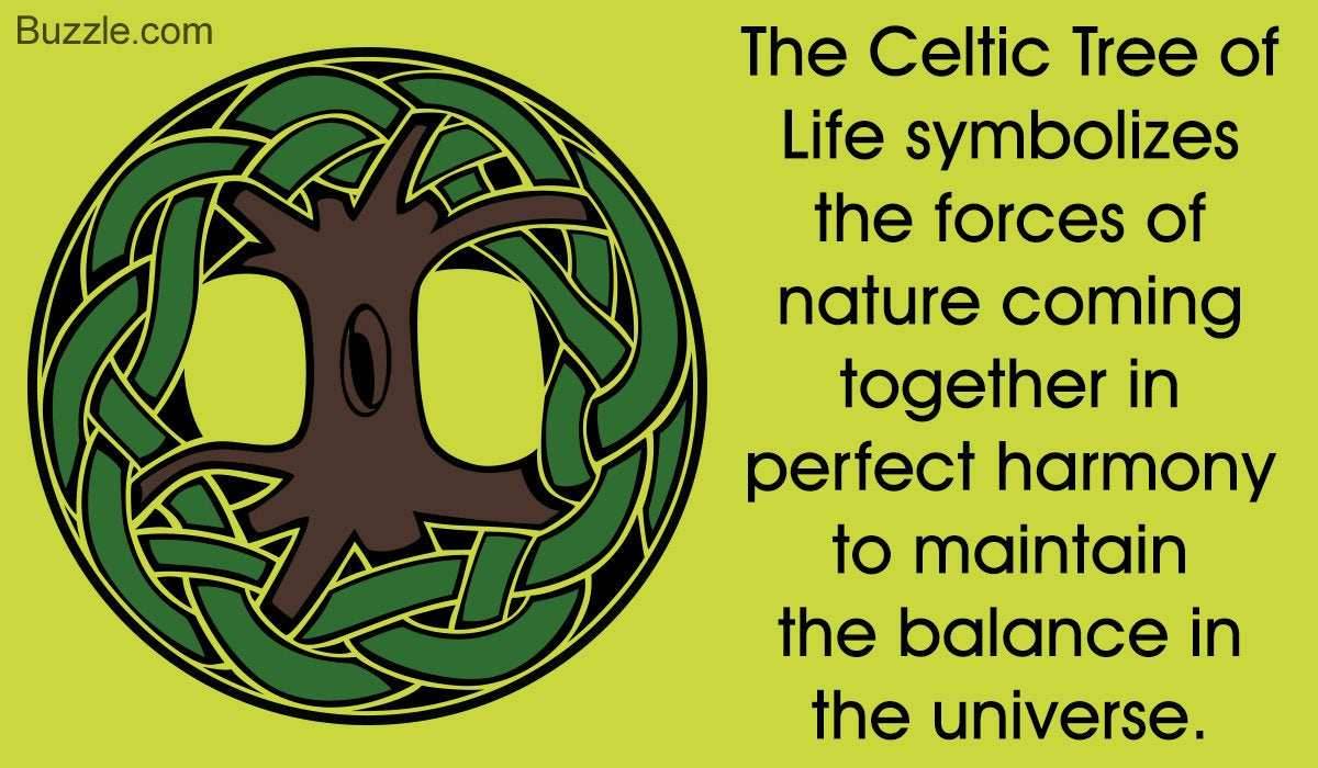 Áedh Tree of Life Ring - 4
