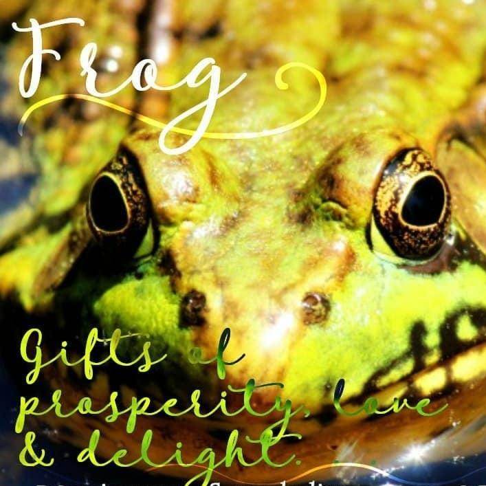 Abalone Frog Earrings -