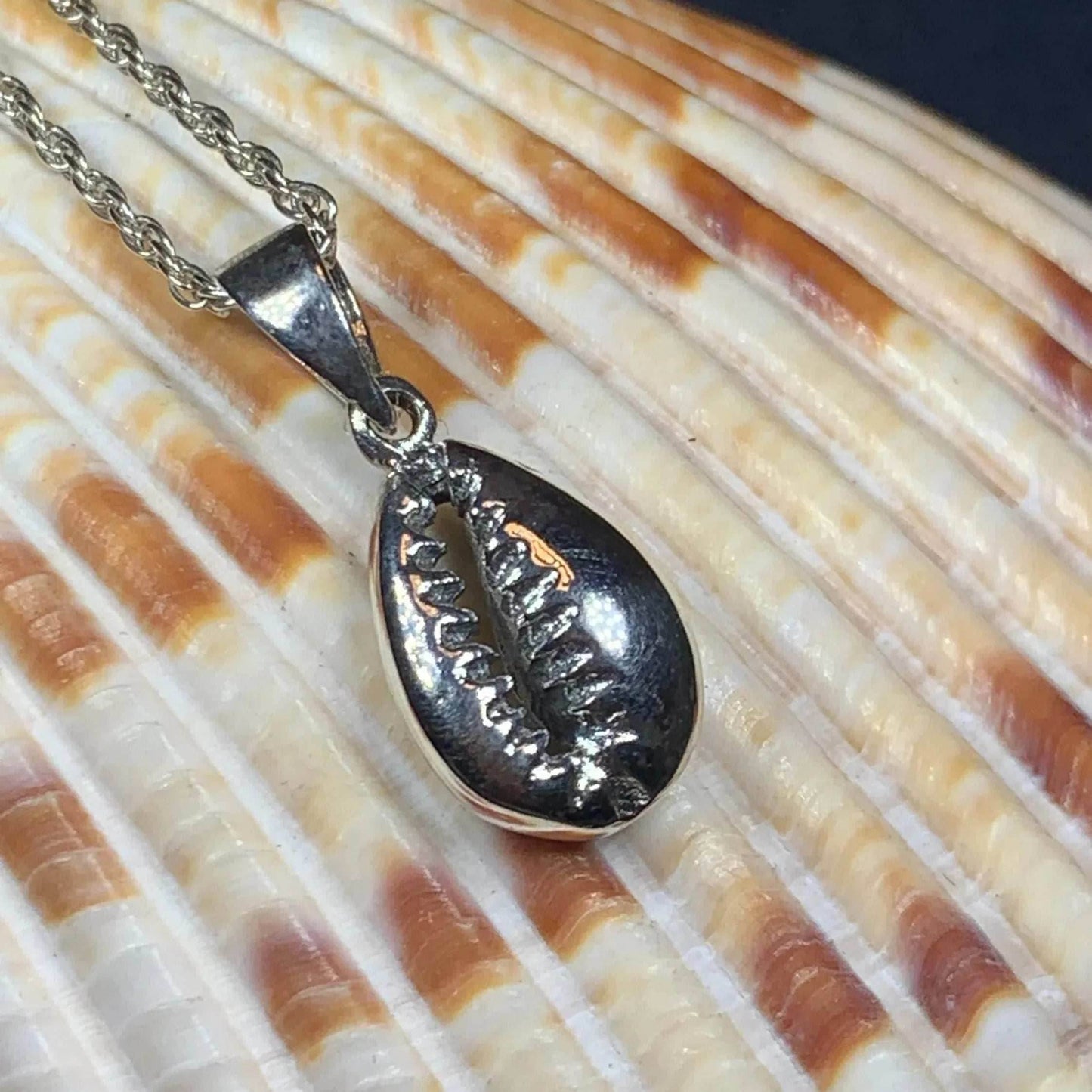 Cowry Shell Necklace -