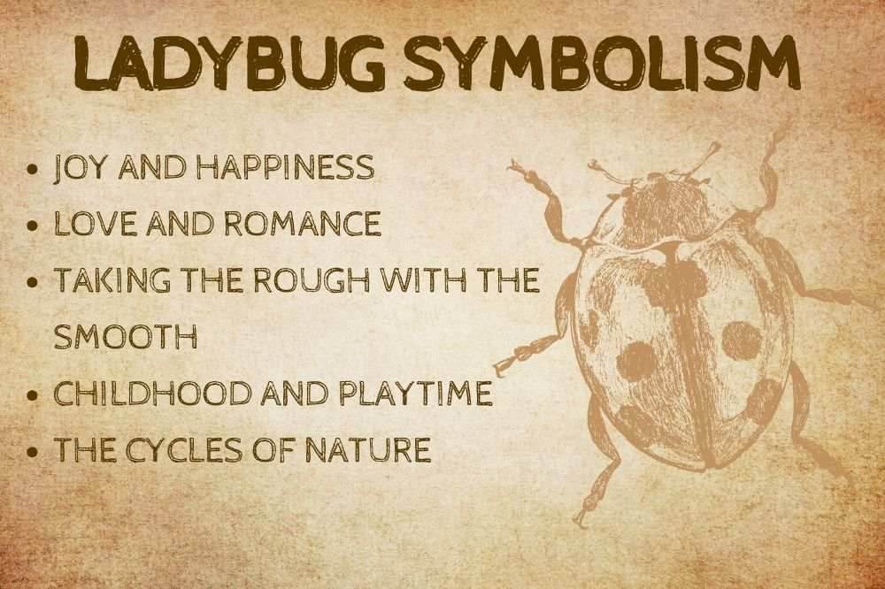 Lucky Ladybug Earrings -