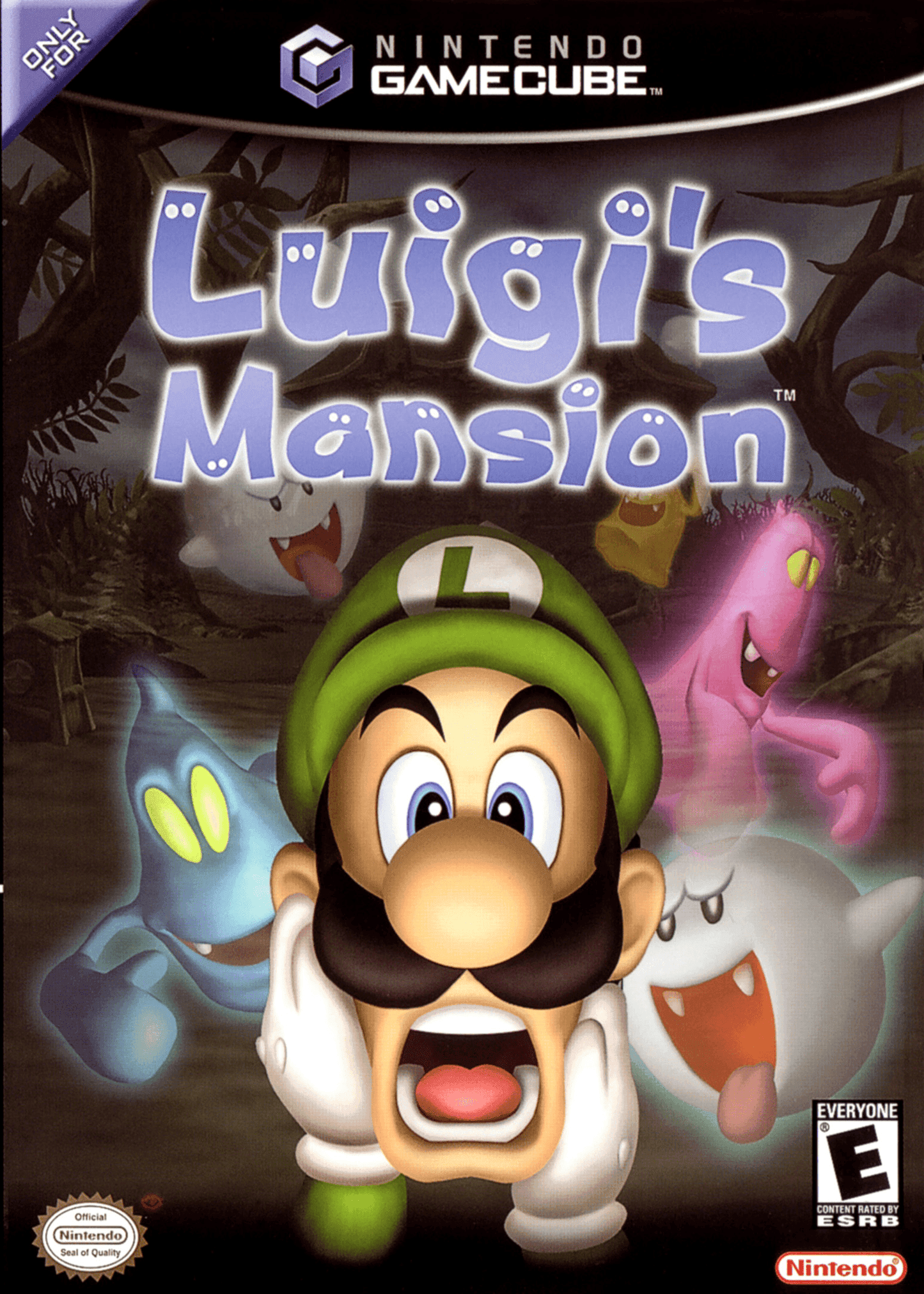 Luigi's Mansion (Gamecube) - Game Manual Only
