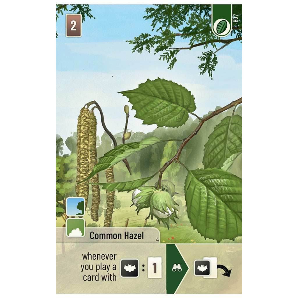 Forest Shuffle: Woodland Edge Expansion -