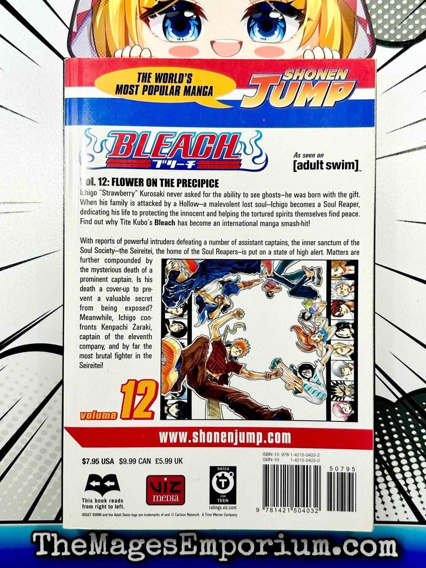 Bleach Vol 12 -