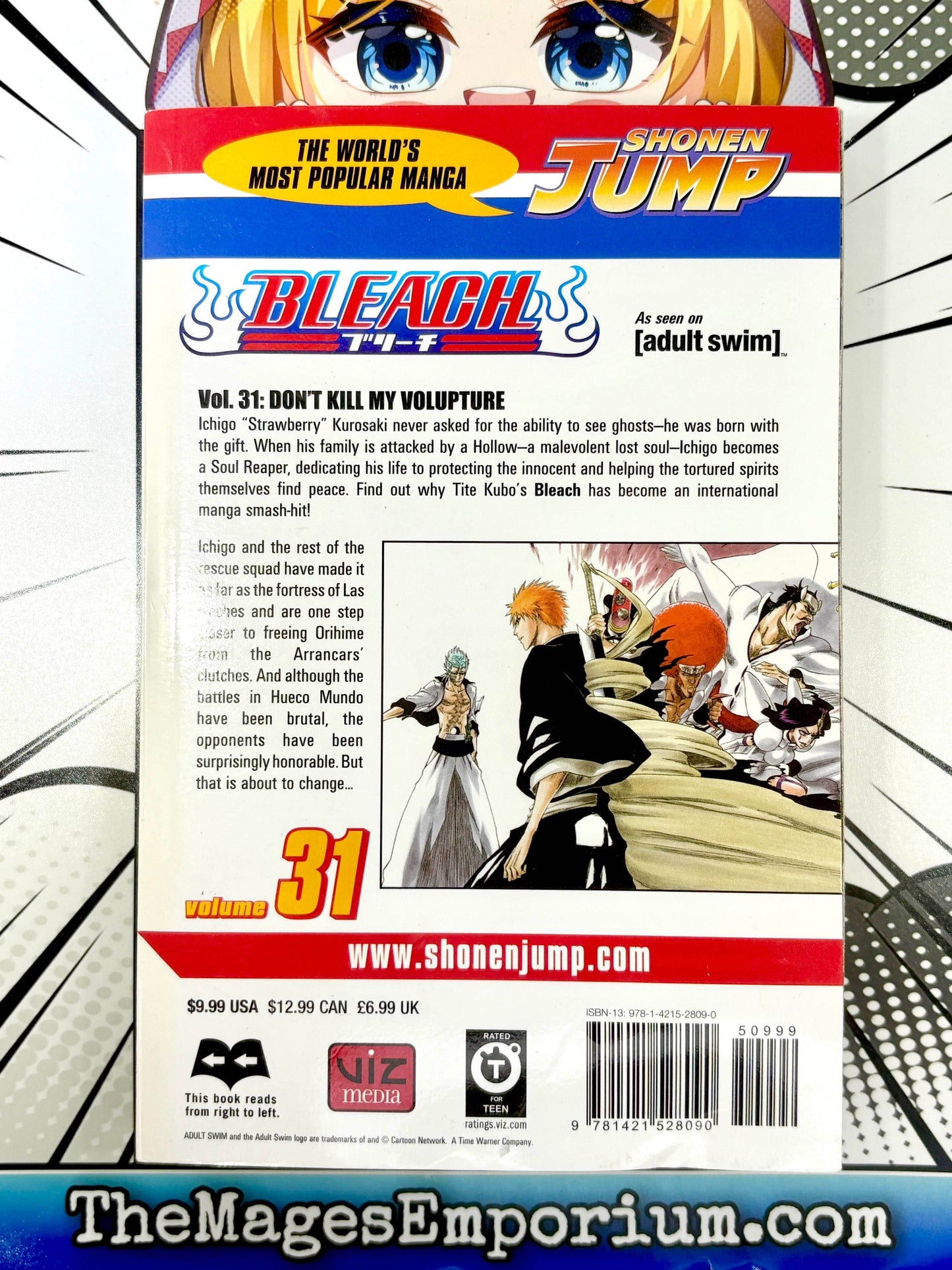 Bleach Vol 31 -