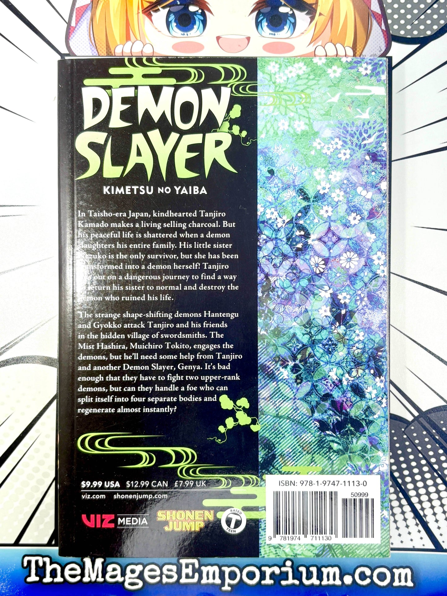 Demon Slayer Vol 13 -