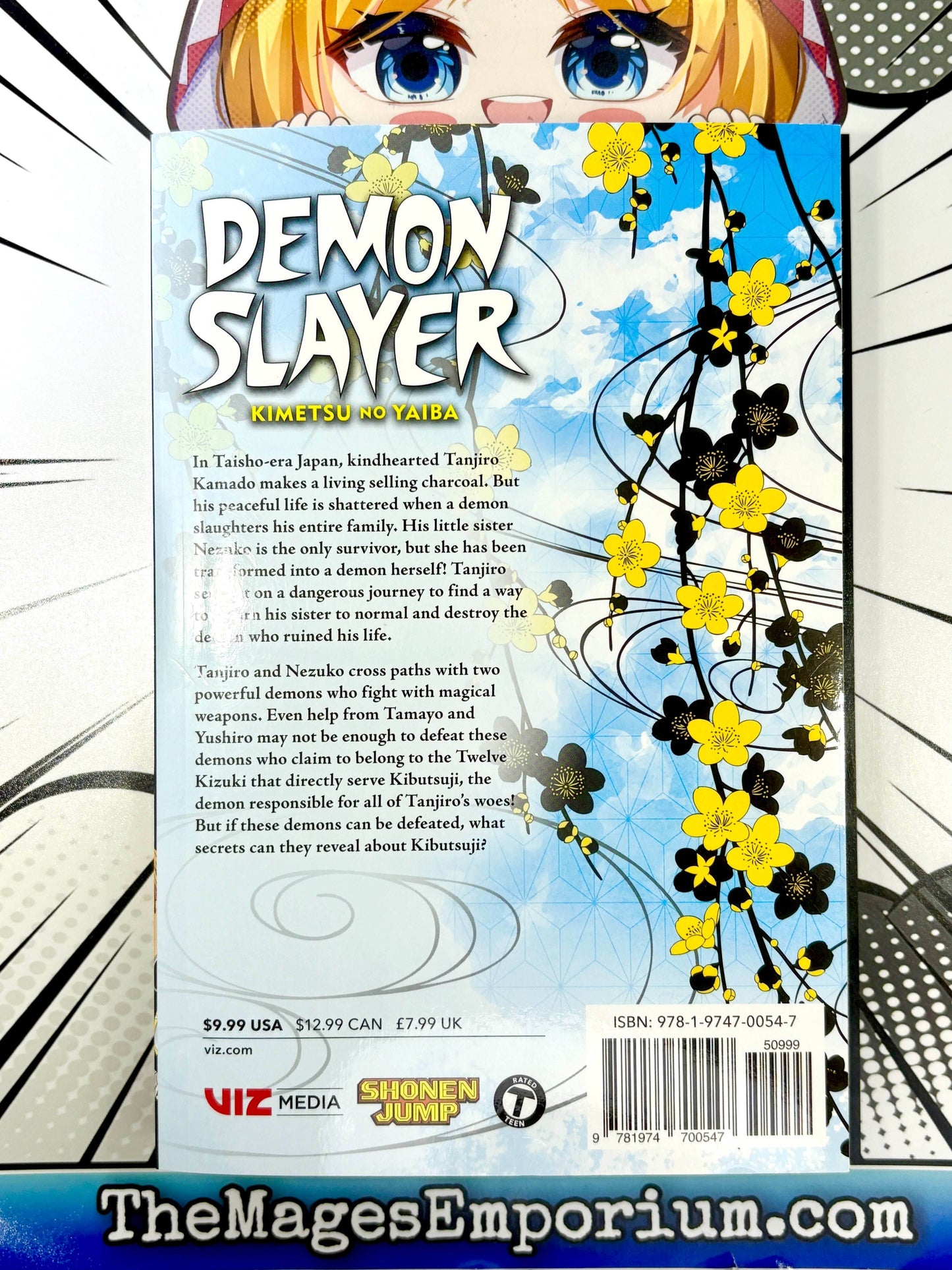 Demon Slayer Vol 3 -