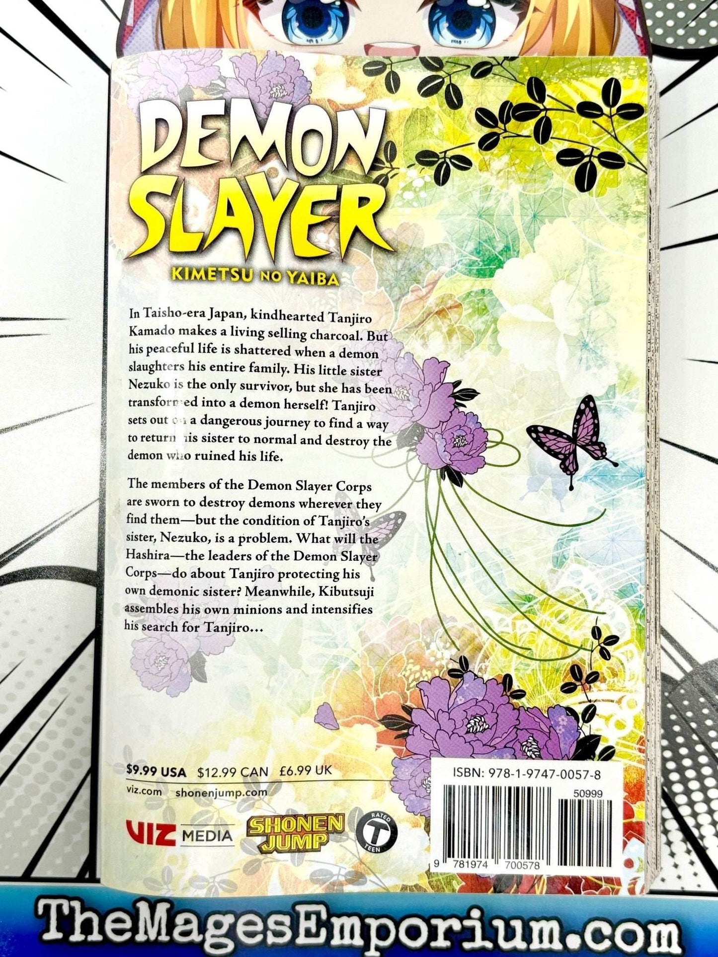 Demon Slayer Vol 6 -