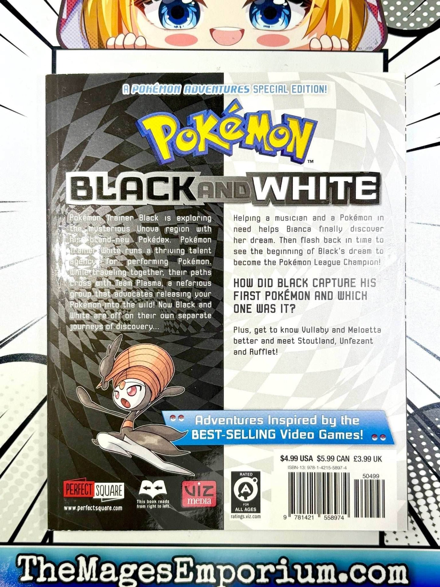 Pokemon Black and White Vol 13 -