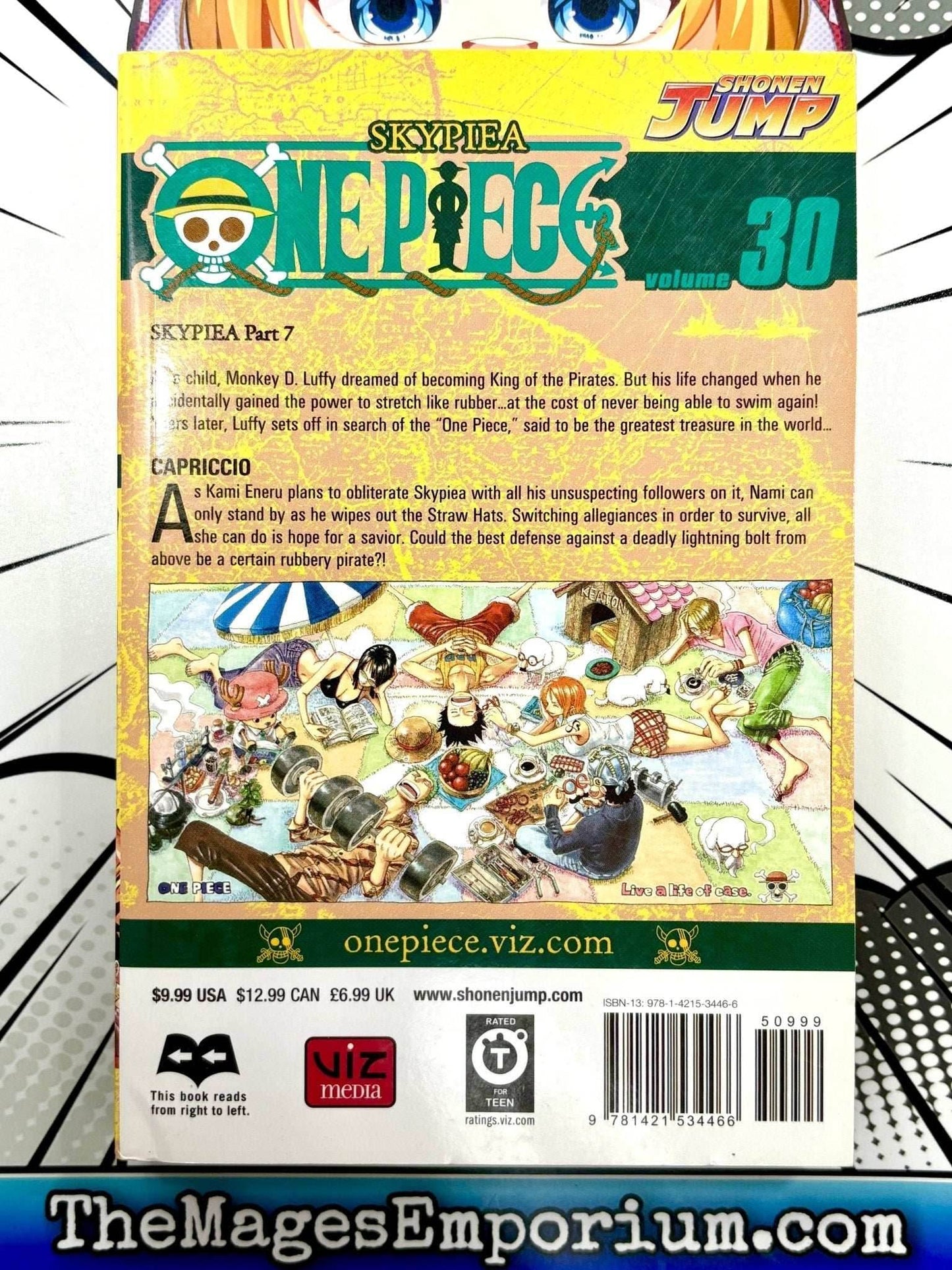 One Piece Vol 30 -