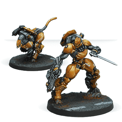 Su-Jian Immediate Action Unit -