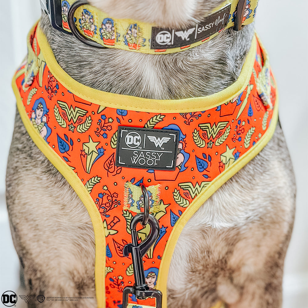 Dog Collar - Wonder Woman™