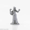 Dark Heaven Legends: Brinewind Townsfolk Goose Lady - 