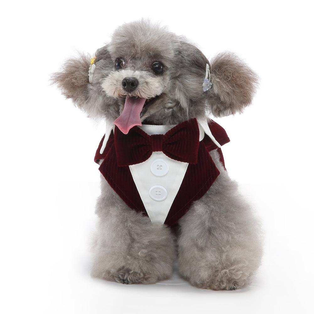 Dog Polo Shirt — 12 Colors & Patterns, Sizes XS–XL