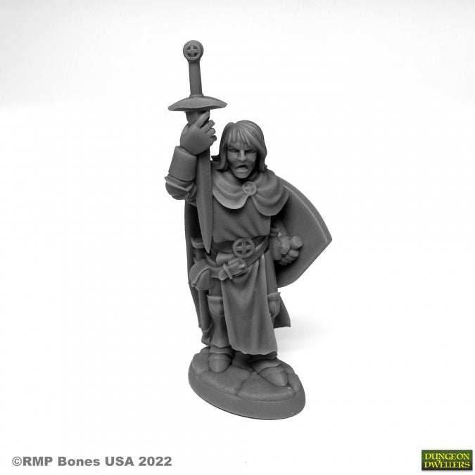 Dungeon Dwellers: Sir Danarel the Holy - 