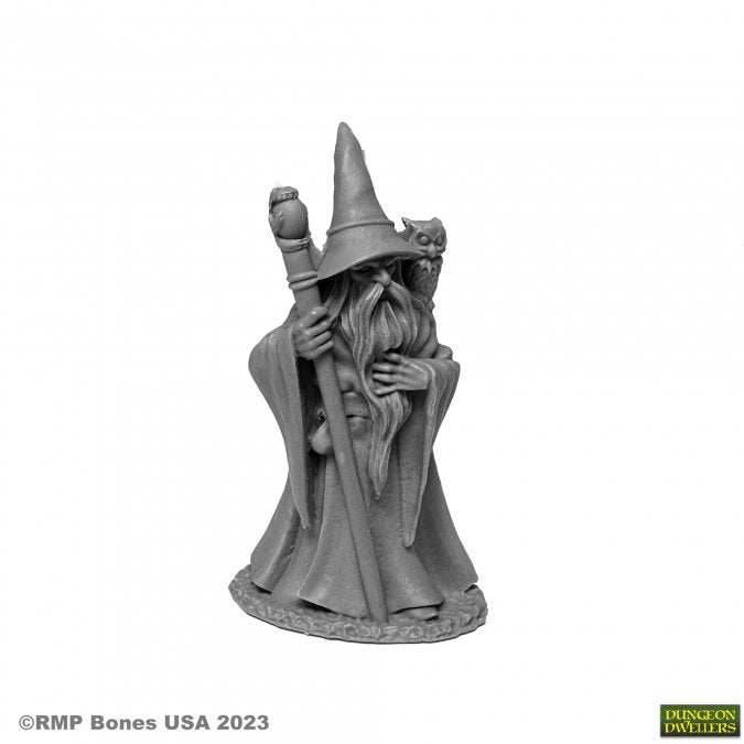 Dungeon Dwellers: Anuminar Winterbeard, Wizard - 