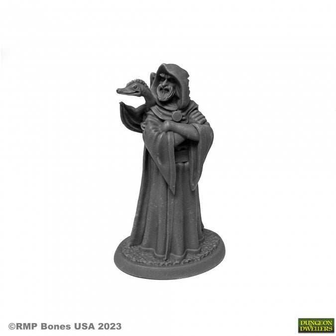 Dungeon Dwellers: Zenfis Zadar, Wizard - 