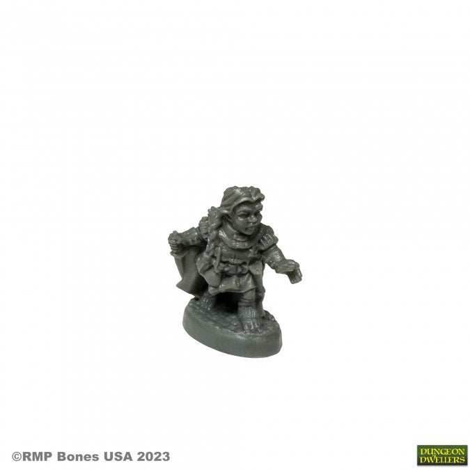 Dungeon Dwellers: Molly Copperpot, Thief - 