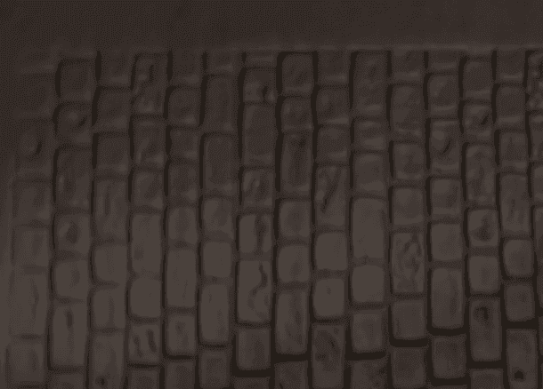 Textured Roller 1-1 - 100mm