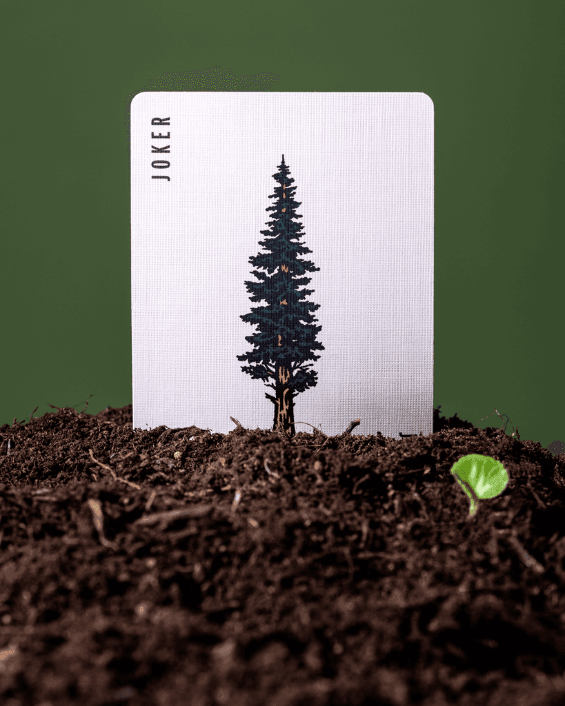 Smokey Bear Playing Cards - 