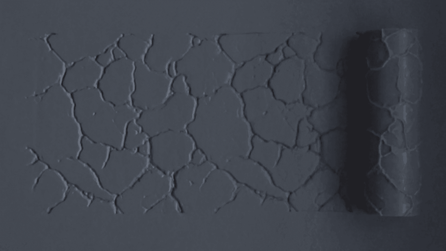 Textured Roller 10-1 - 100mm