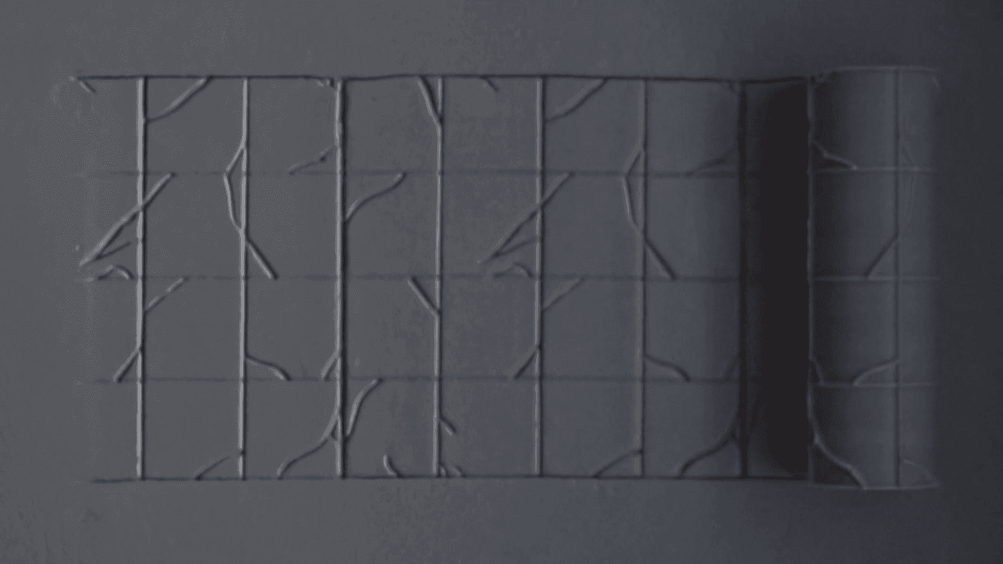 Textured Roller 10-2 - 100mm