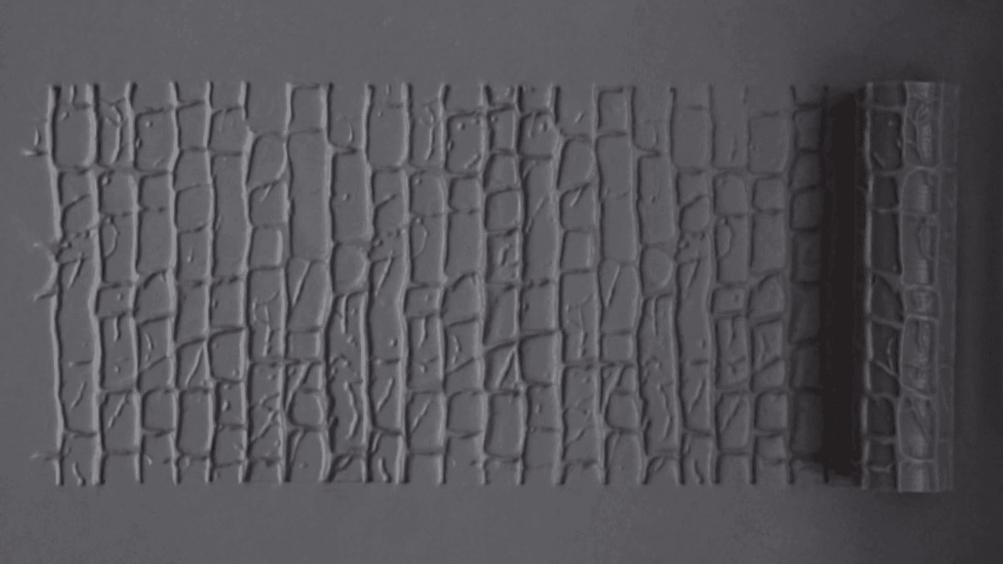 Textured Roller 10-5 - 100mm