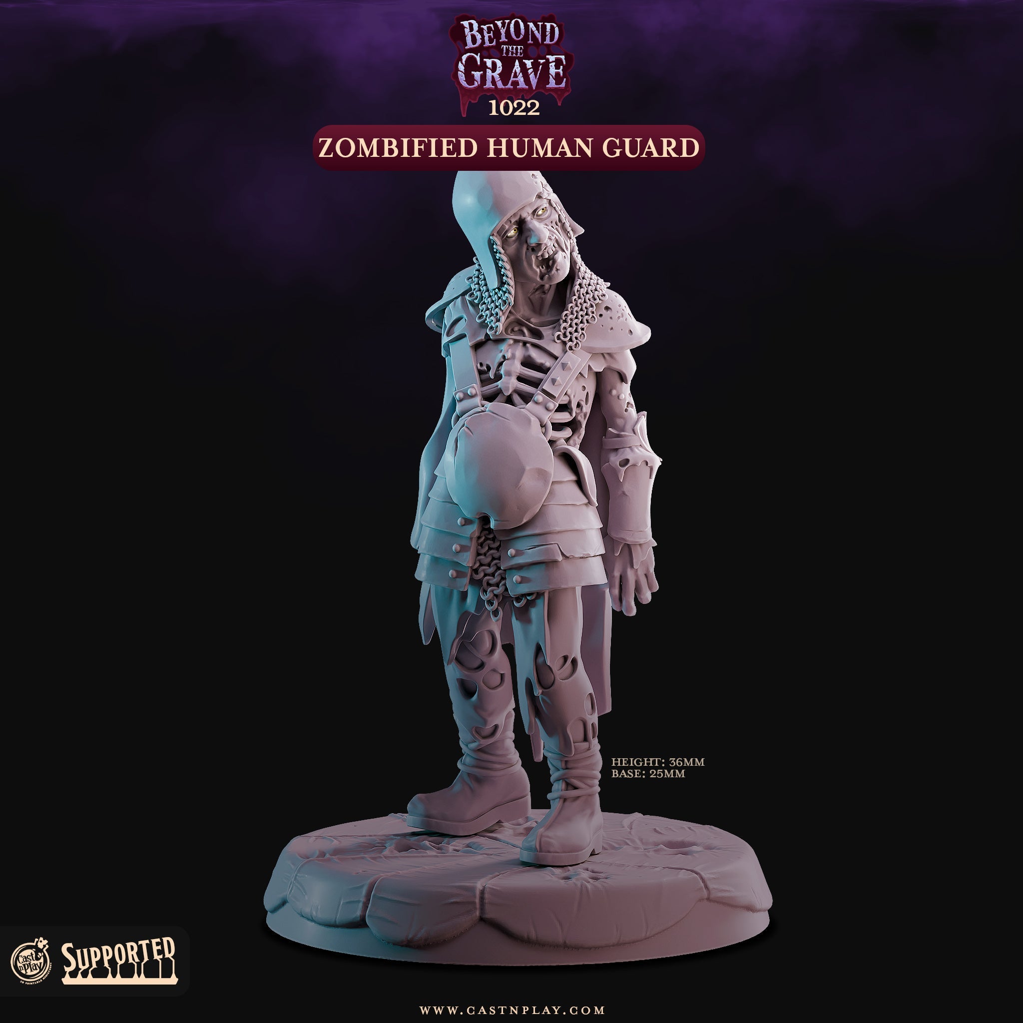 Zombified Human Guard