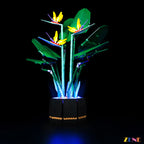 LEGO Bird of Paradise #10289 Light Kit