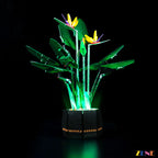 LEGO Bird of Paradise #10289 Light Kit