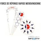 Faction Template Sets - Force de Reponse Rapide Merovingienne