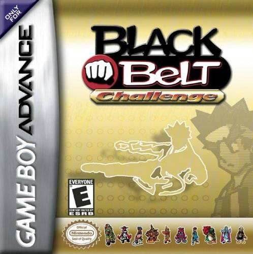 Black Belt Challenge (Gameboy Advance) - Game Manual Only